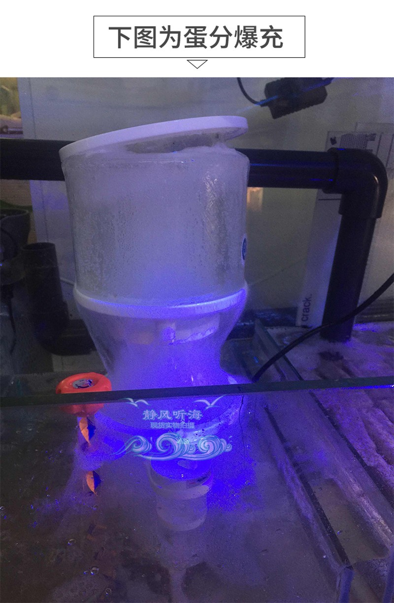 静风分海蛋分停电延时启动定时保护插座防8蛋听爆冲暴冲五孔止6型