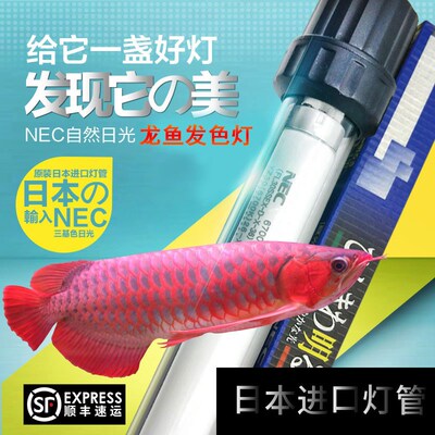 NE本鱼缸灯三基色龙鱼发色增色水中灯7600k白灯模拟太阳光日C灯管