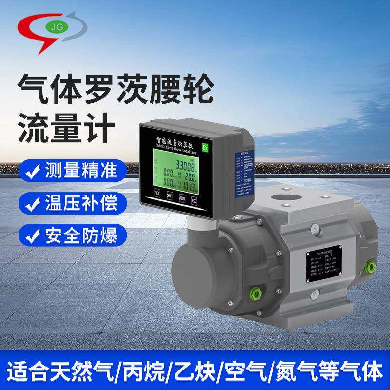 气体腰轮流量计智能流量数显天然气丙烷氮气高精度气体罗茨流量计