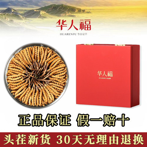 华人福冬虫夏草礼盒100根新货