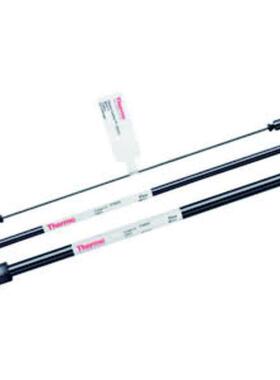 赛默飞离子色谱C18色谱柱4.6*100mmThermo分析柱30105-104630