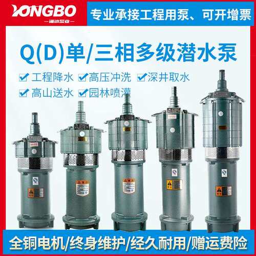 QD多级潜水泵高扬程220v抽水泵农用灌溉高压小老鼠水泵380v降水