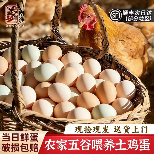 林地农家土鸡蛋40枚整箱包邮