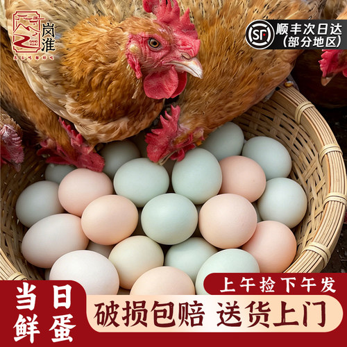 岗淮新鲜农家散养土鸡蛋整箱顺丰