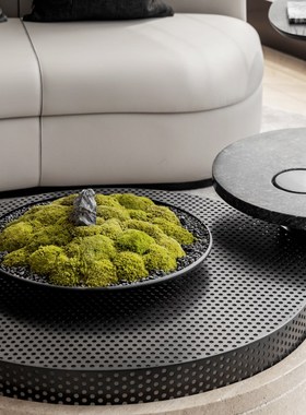 样板间书房茶室青苔苔藓永生花艺摆件大圆桌转盘中间圆形微缩造景