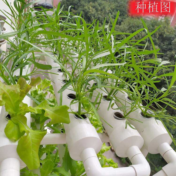 管道式家庭阳台自动浇灌水培多层无土栽培设备水培蔬菜种植架