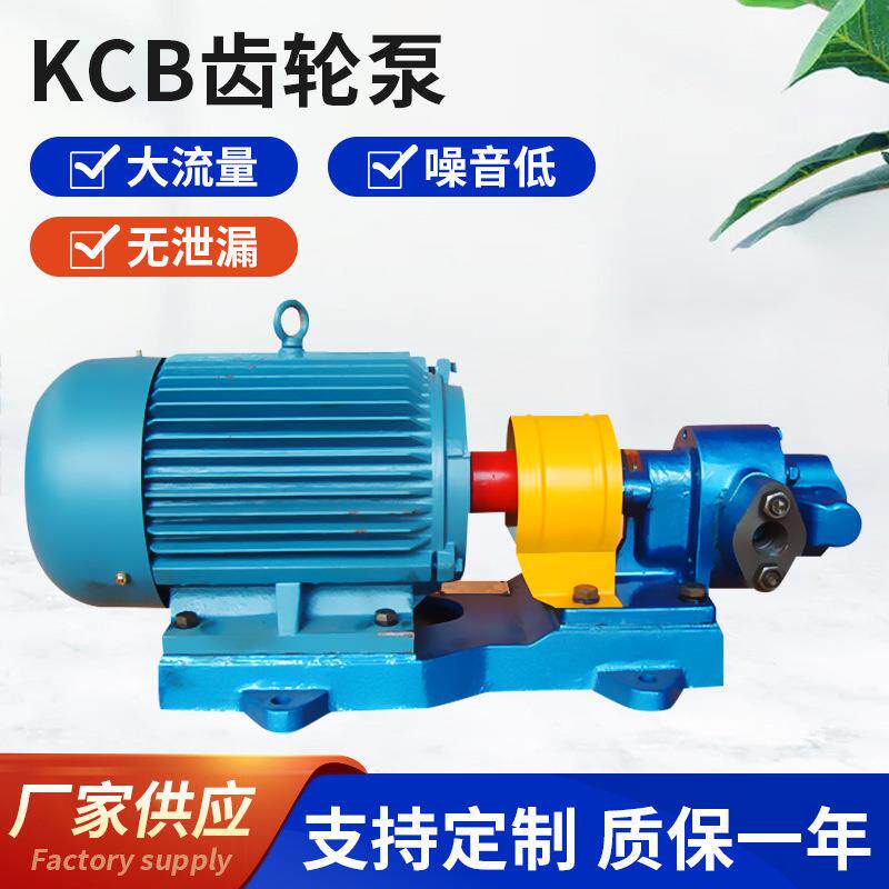 厂家供应KCB齿轮泵 小型铸铁电动抽油泵 微型kcb涂料齿轮泵定 制