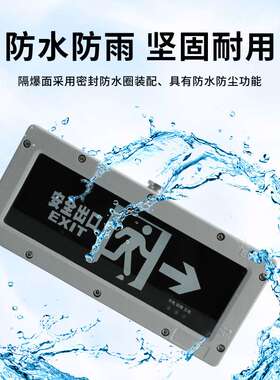 HR-BLZD-I 1LROE4W-BAYD82防爆标志灯灯 双向安全出口疏散指示灯