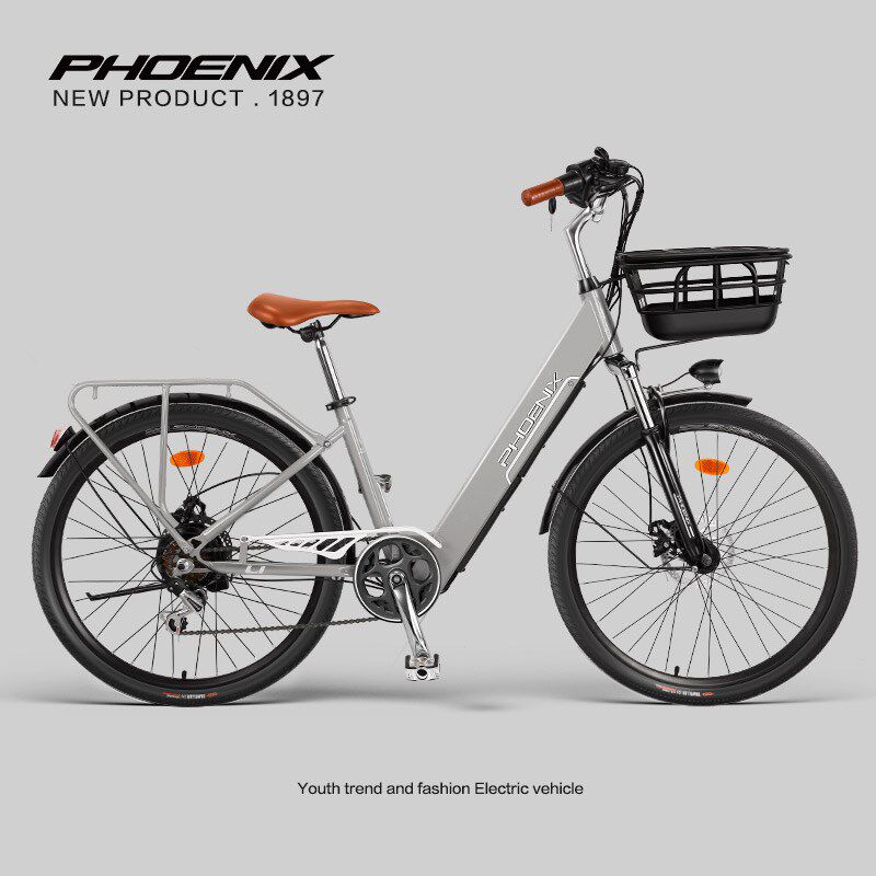凤凰电动自行车锂电池男女士成人助力电动车新国标电单车