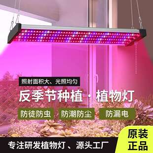 growlight植物燈跨境生长灯补光led红蓝光全光谱大灯排T8T5灯管KS