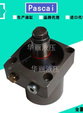 Pascal帕斯卡旋转夹紧液压缸 CSU04 工装夹具杠杆缸 CTU06-REN45