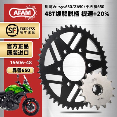进口异盘适 崎牙兽versys650川z650 ninja650大小链轮RK链条