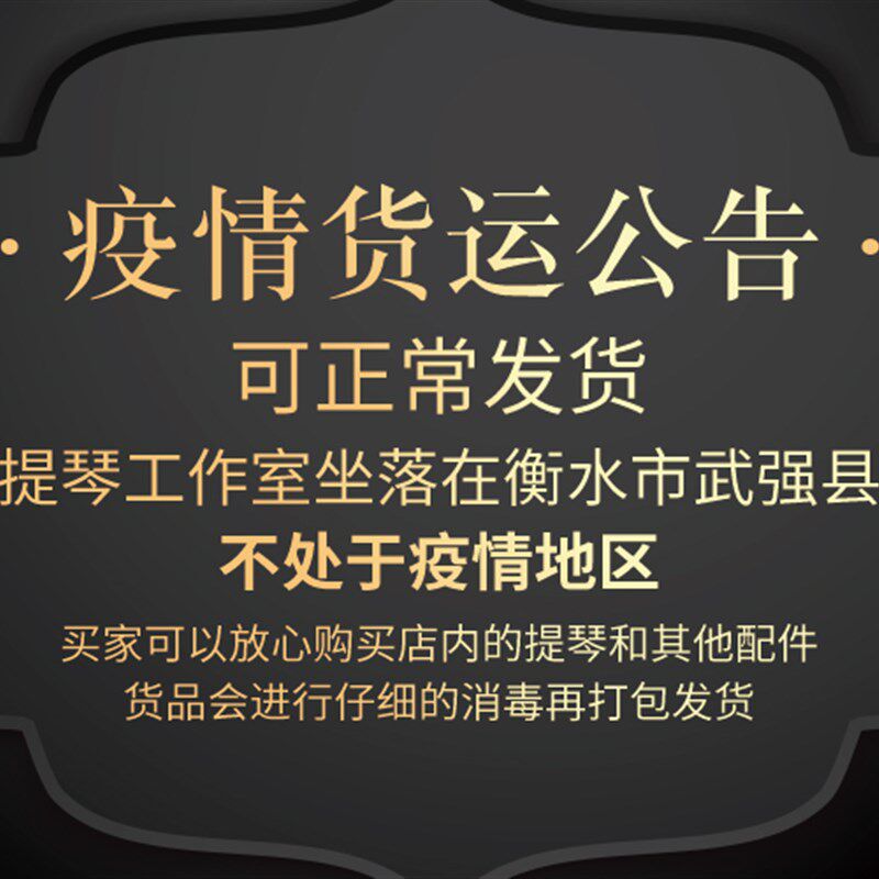 畅想初学考入级手工实木者级演奏门小提琴自学小提琴练习小提琴
