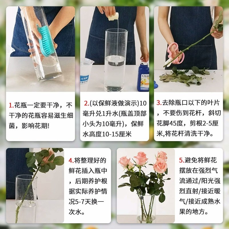 荷兰进口鲜花保鲜剂3号保鲜粉通用型鲜切花营养液延长剂