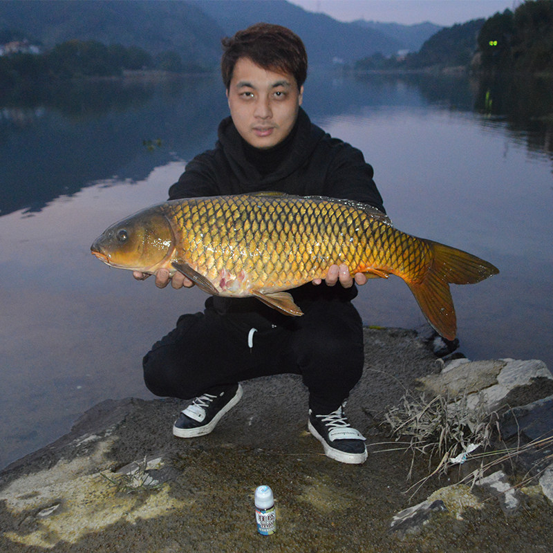 钓鱼小药鲤鱼饵料窝料配方野钓诱鱼开口剂黑坑添加剂打窝套餐专用,户外/登山/野营/旅行用品,台钓饵,淘宝优惠券,粉丝福利购,淘宝优惠卷