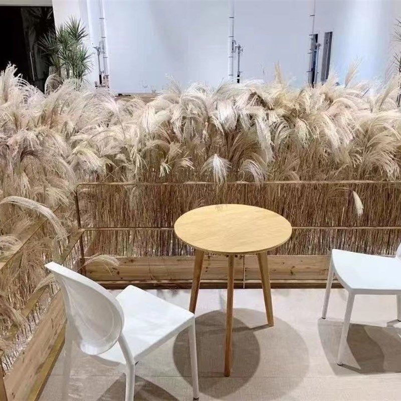 芦苇干花天然拍照道具粉色花束仿真花酒店客厅婚庆装饰花落地摆件