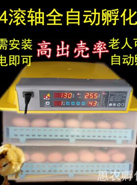 2021款抱鸡器浮鸡娃机器出化小鸡机子恒温孵化器乳小鸡机器电抱鸡