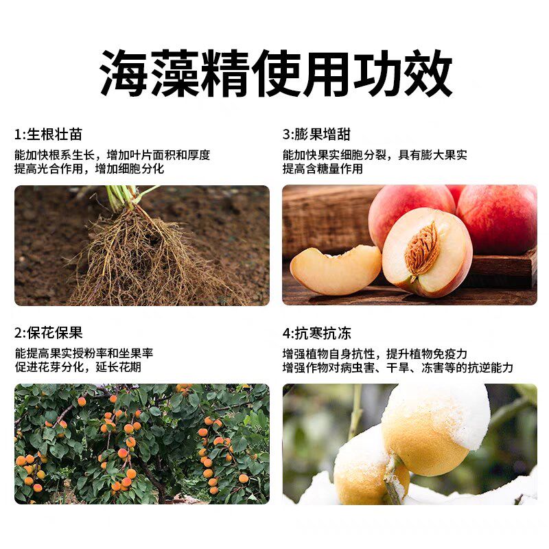 优级天藻精原粉海然有机全水料肥溶生物酶解海藻肥叶面肥促根壮苗