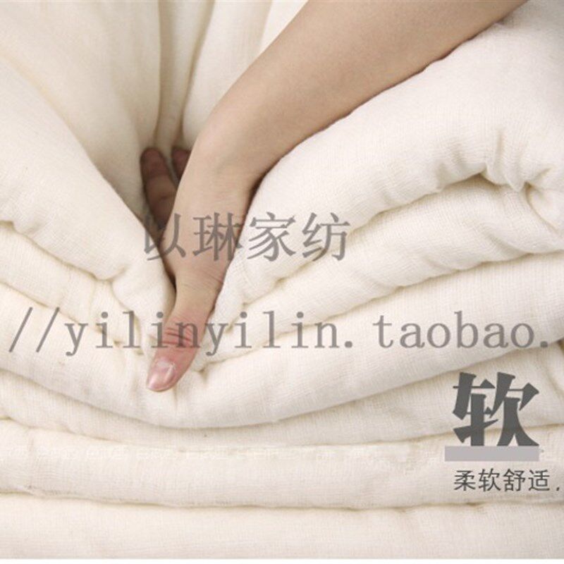 丝绵定做秋冬丝棉花床褥棉垫被/床垫褥子/棉絮/棉垫被5-6斤加厚