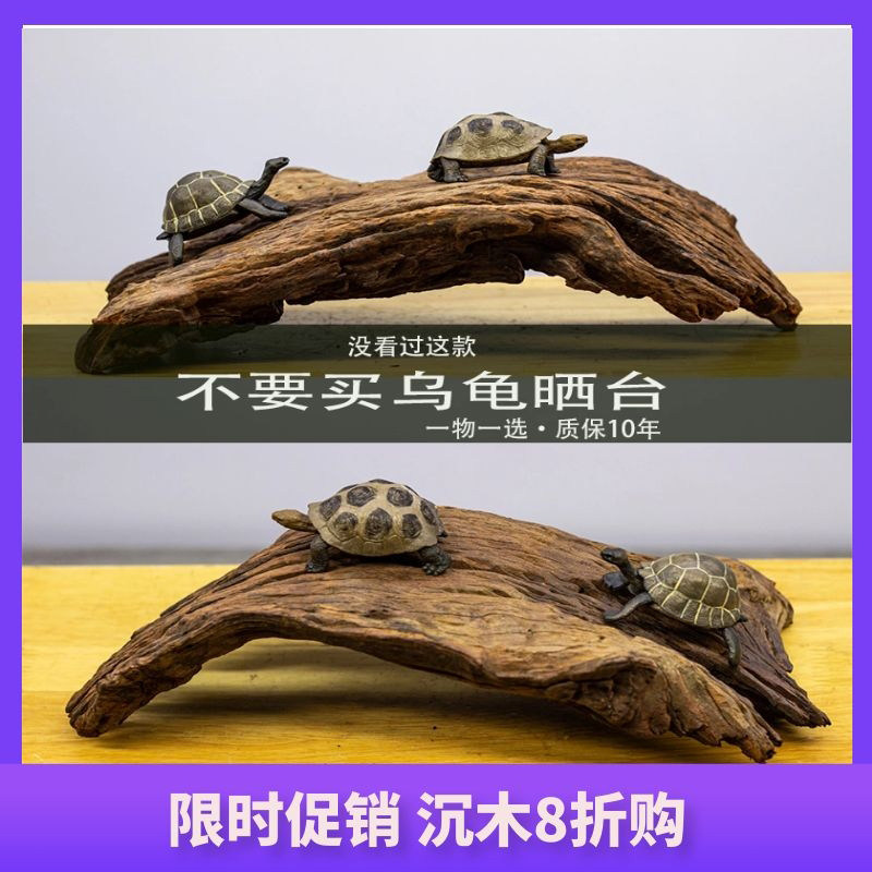 沉木避乌龟晒台爬宠造免摆件躲鱼深水晒背景煮紫柚鱼缸布景拱桥