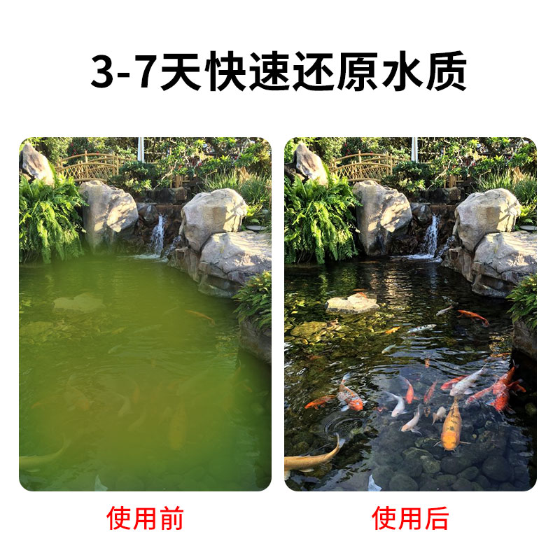 鱼池过滤器养鱼水循环系统设备大型净化过滤箱装置室外锦鲤水池