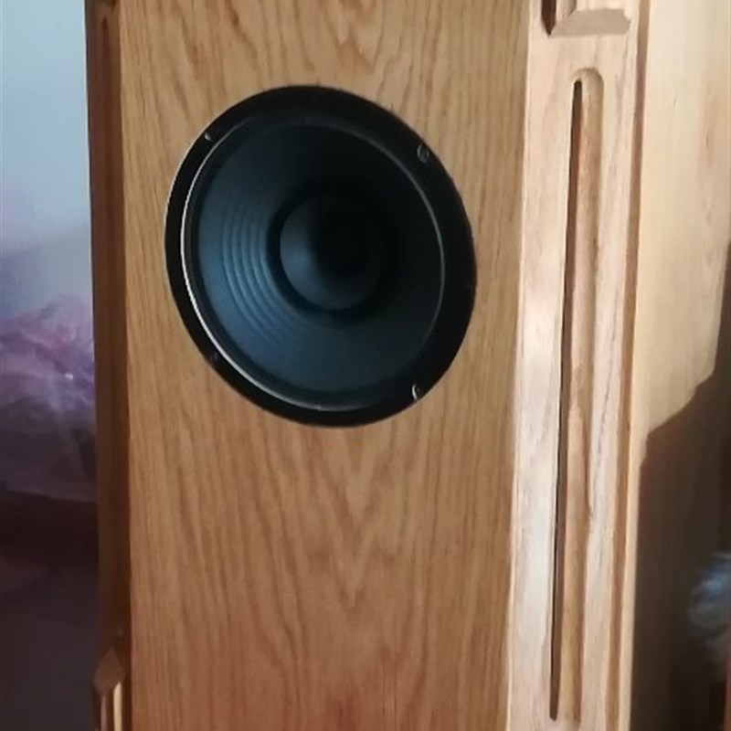 出口十寸全频喇叭扬声器 10寸双纸盆一纸到边人声毒灵敏度高