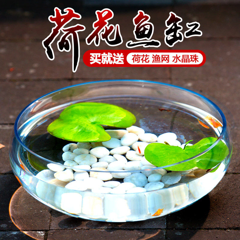 特大号荷花缸 超白透明大型玻璃鱼缸水 培创意缸鱼金鱼缸乌龟缸