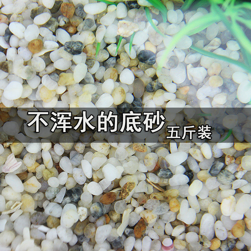 鱼缸底石水族箱底沙乌龟缸砂装鱼缸布景子饰垫材天然造景沙养水草
