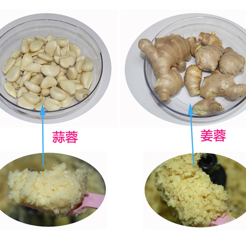 菜用绞肉机家用电动搅蓉机 馅商打料理蒜拌蒜蓉蒜泥器小型碎肉机