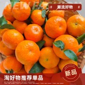 正宗广西砂糖橘新鲜水果整箱当季 现摘现发纯甜沙糖桔精选多汁爽口