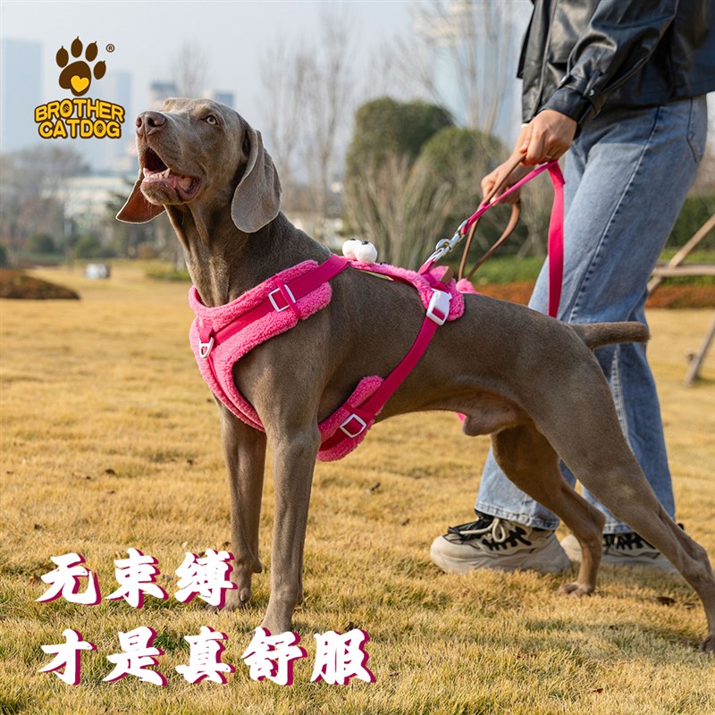 新款狗狗胸背带外出可提拉背心式大胸背带可爱遛狗牵引绳防挣脱