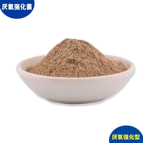 污水处理菌种 厌氧强化菌产甲烷加快降解COD总氮提升产气量厌氧剂