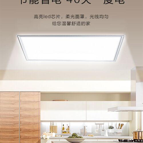 集成吊顶灯300x480厨卫D00x484平板灯300x48E 铝扣板L53灯