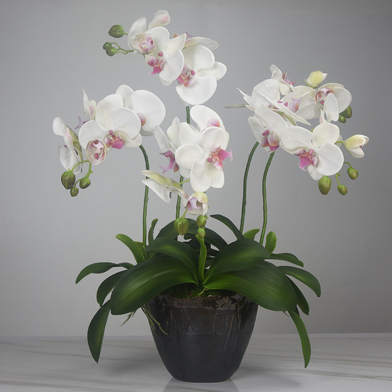 蝴蝶兰仿真花高品质兰花栽花盆假客厅餐厅代现花瓶插花装饰摆件