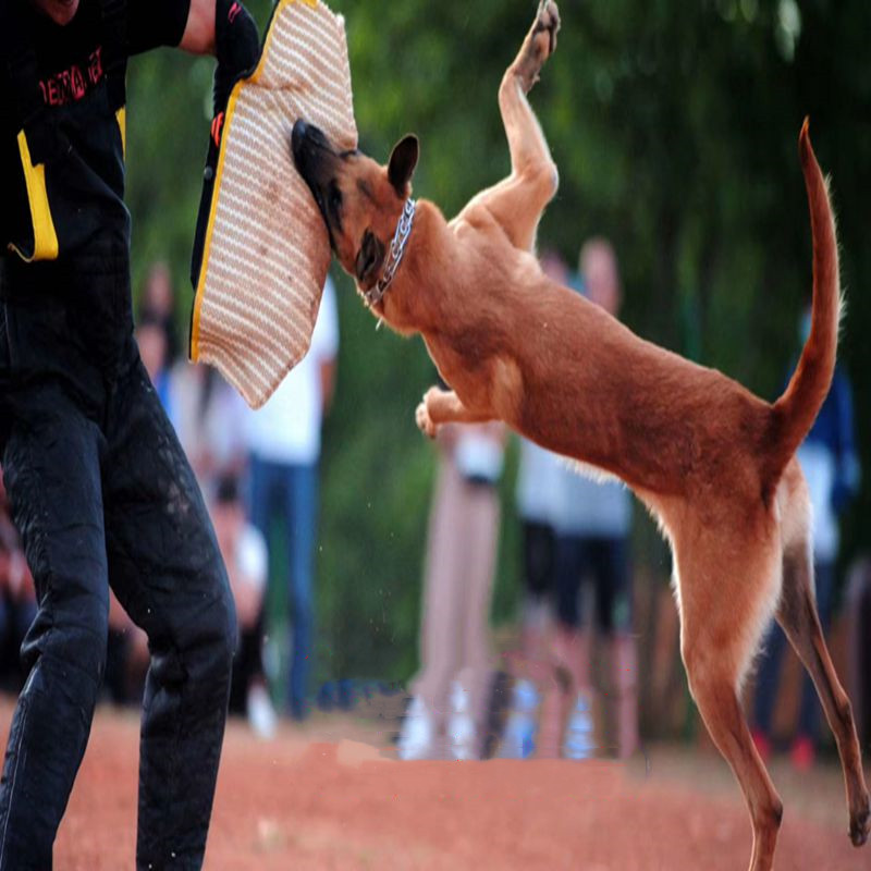 训犬用品装备3G多功能短靶扑咬护袖咬枕训练扑咬装备飞靶马犬德牧