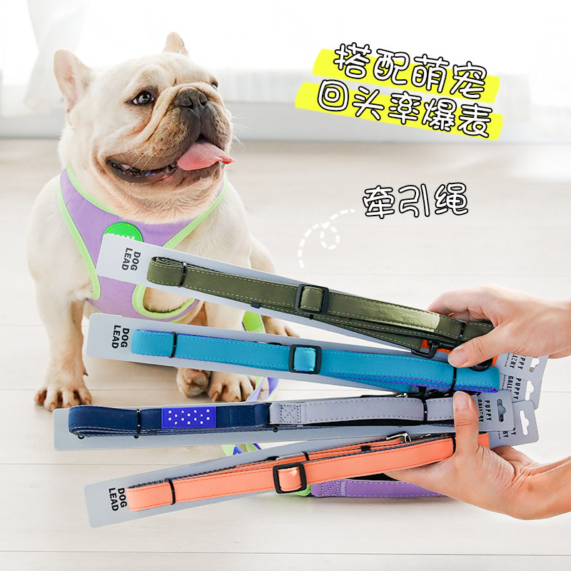 韩国Puppy Gallery 撞色胸背夏季背心式狗狗牵引绳项圈小型犬法斗