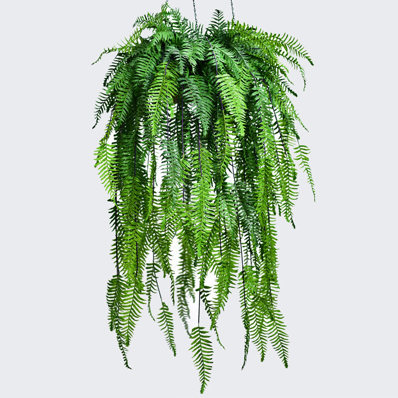 仿真蕨内铁线蕨墙面绿植吊篮吊兰植物装饰垂吊墙壁塑料花假花吊顶