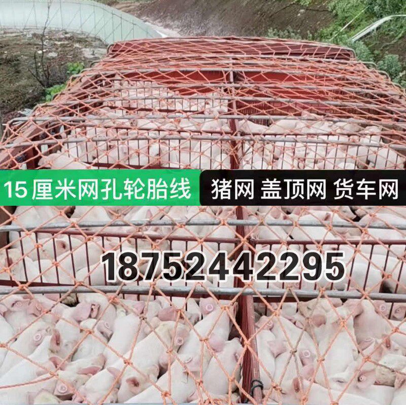 定做拉猪网 盖顶网 货车网罩三轮车网 皮卡车网 轮胎线耐磨防护网