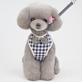 狗狗牵引绳中型小型犬狗绳背心式 泰迪博美遛狗绳宠物胸背带狗链子