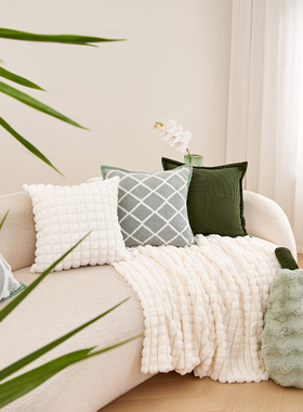 2023新款绿色抱枕沙发客厅创意靠背垫车内玩偶床上靠枕头套不含芯