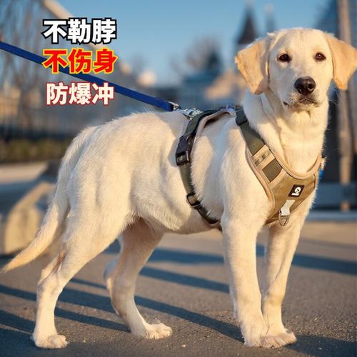 狗狗牵引绳背心式狗链子大中型犬遛狗牵引绳金毛拉布拉多牵引背心