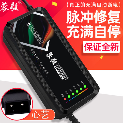 心艺两孔通用电动车电瓶智能自动断电充电器48V20AH60V12AH72伏