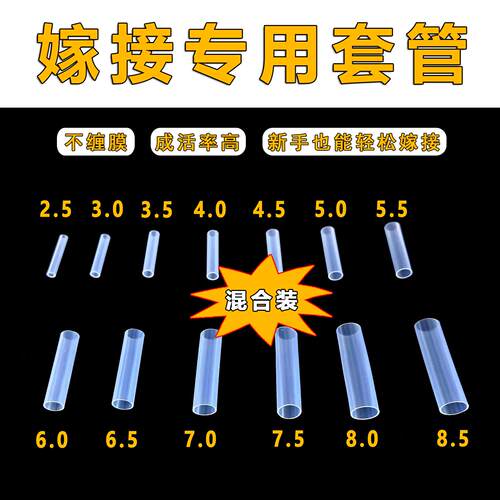 新手嫁接套管家用园艺嫁接神器月季花卉果树苗木固定嫁接膜替代品