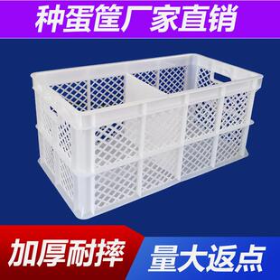 江苏羽佳新料隔板蛋箱45斤30斤鸡蛋周转筐塑料筐种蛋箱周转箱带盖