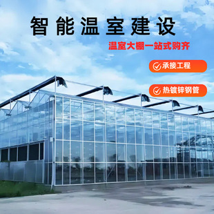 厂家直供智能玻璃温室连栋薄膜温室大棚骨架承接工程蔬菜种植大棚