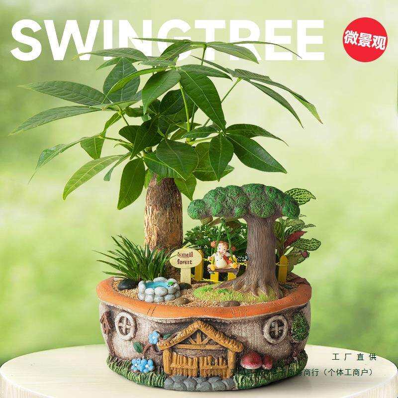 发财树盆景绿植室内盆栽文竹植物创意可爱办公室桌面微景观物