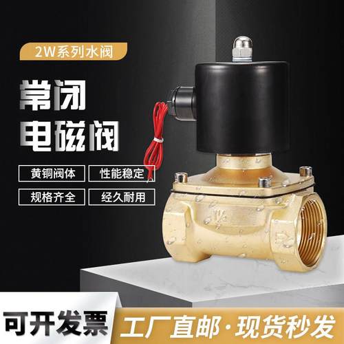2W电磁阀水阀控制开关气阀全铜线圈AC220V DC24V DC12V 2分 4分