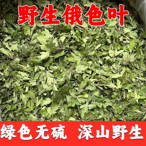正品俄色叶高海拔藏茶自然