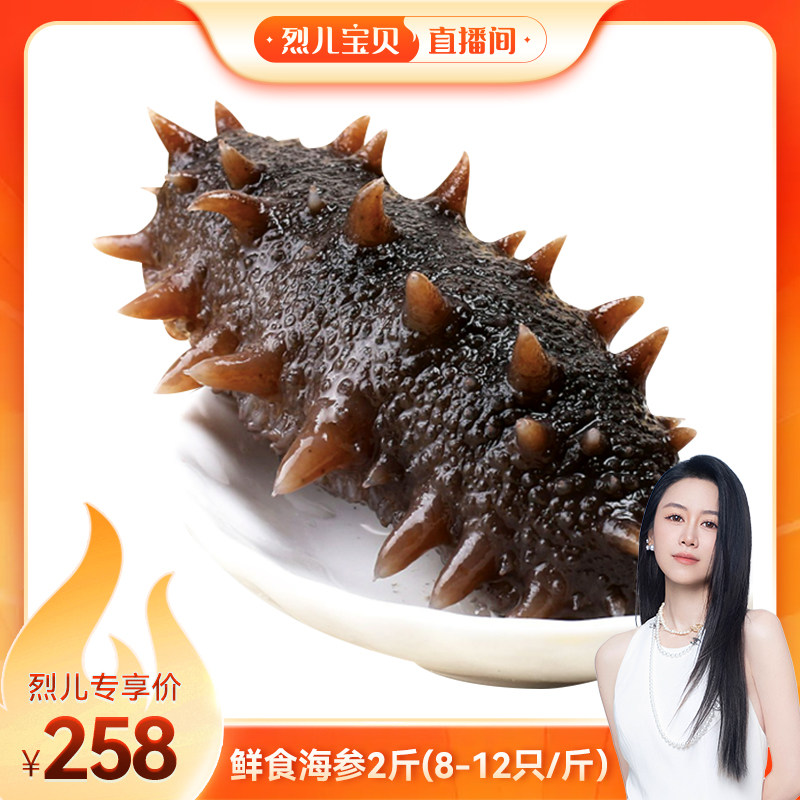 【烈儿宝贝直播间】鲜食海参肉质Q弹软糯开袋即食8-12只/斤*2斤