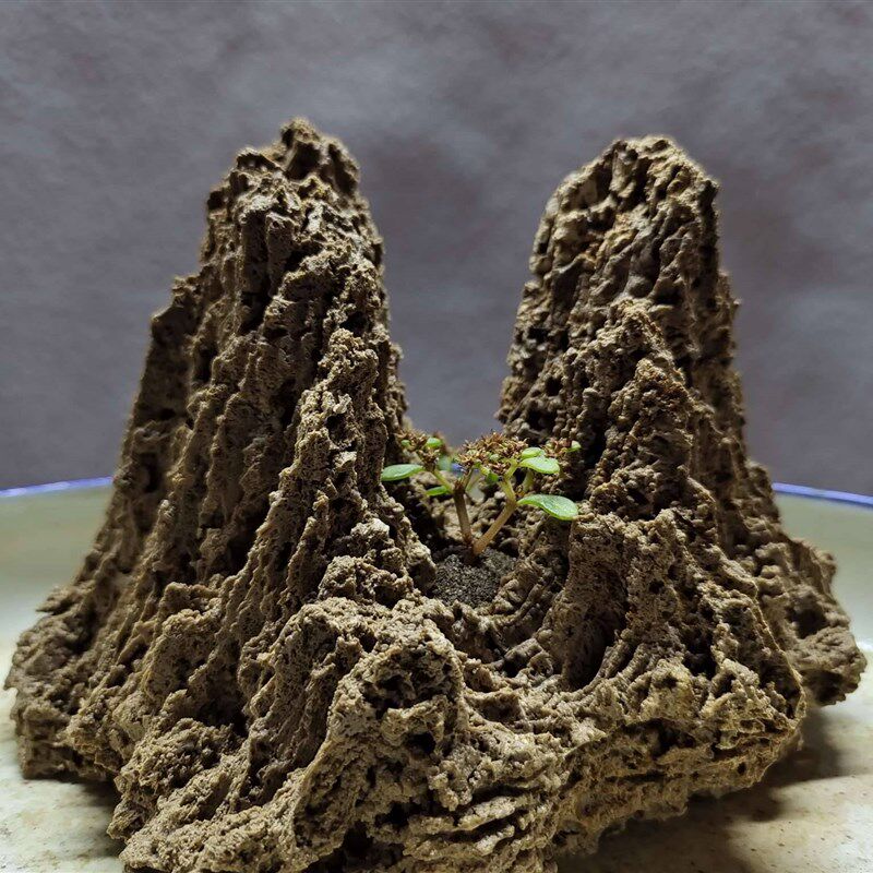 小微吸水石上水石水花石迷你假山盆景盆件菖蒲秀摆装饰加湿文竹